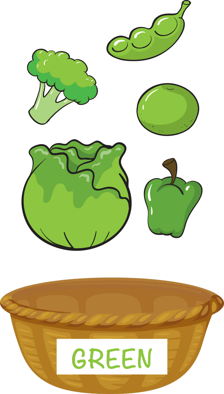 different colors of fruits and vegetables illustration