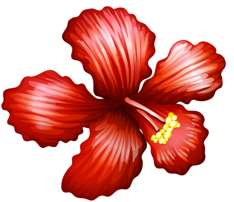 different kind of flowers illustration showcasing vibrant floral beauty in a tropical style