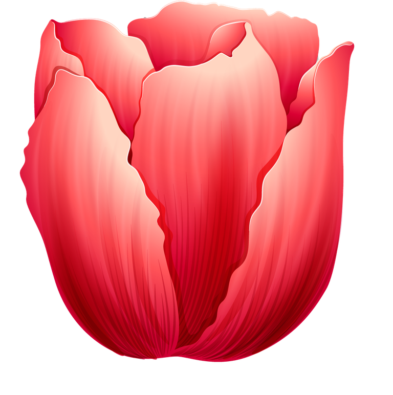 different kind of flowers illustration showcasing a vibrant red tulip in exquisite detail