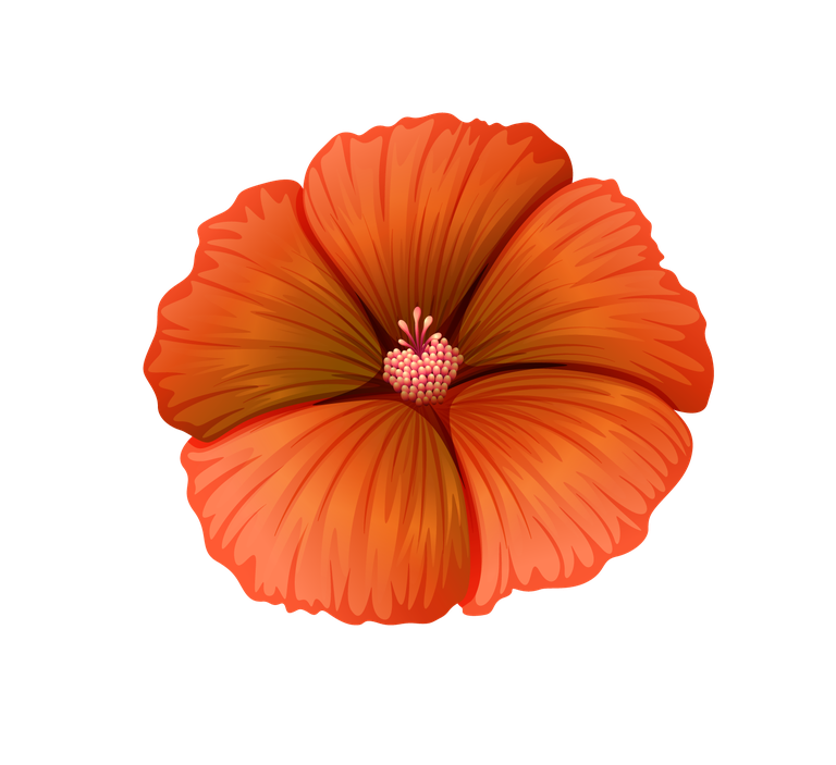 different kind of flowers illustration featuring vibrant hibiscus blossoms for various uses