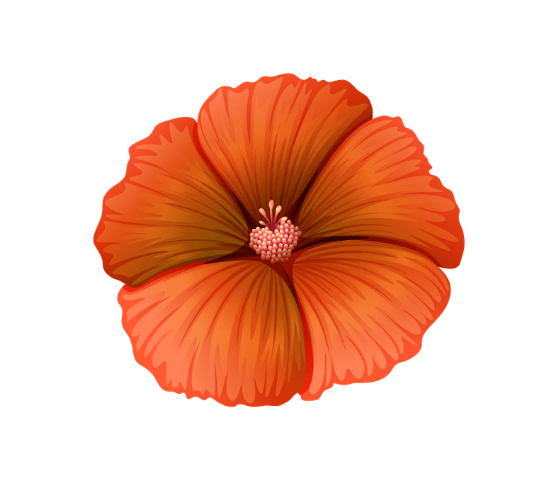 different kind of flowers illustration showcasing vibrant hibiscus in stunning detail