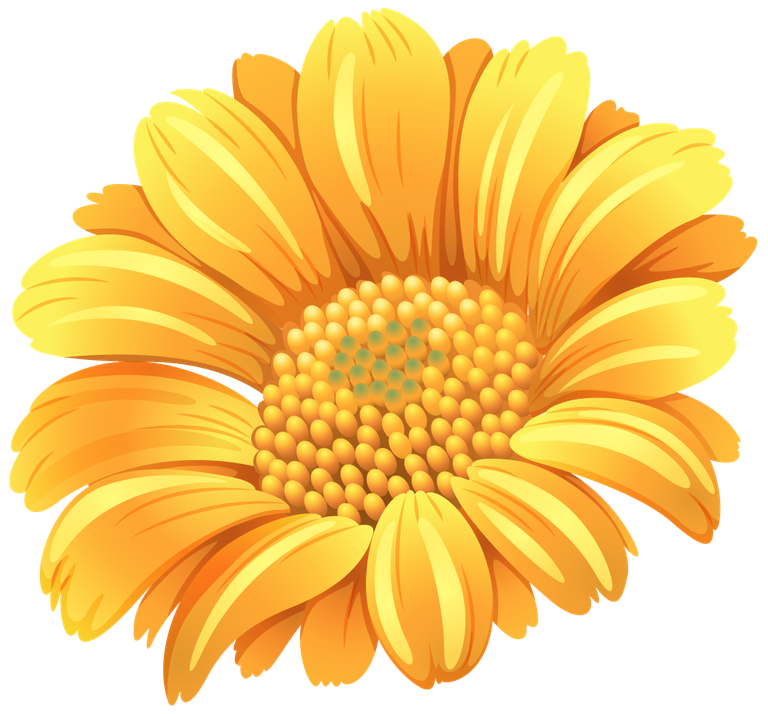 different kind of flowers illustration showcasing vibrant yellow blooms for seasonal decor