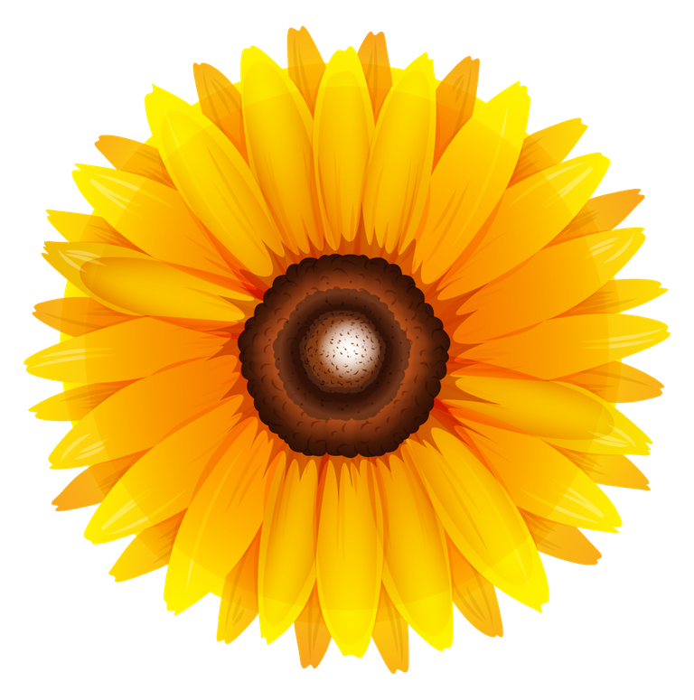 different kind of flowers illustration showcasing a vibrant sunflower with detailed petals