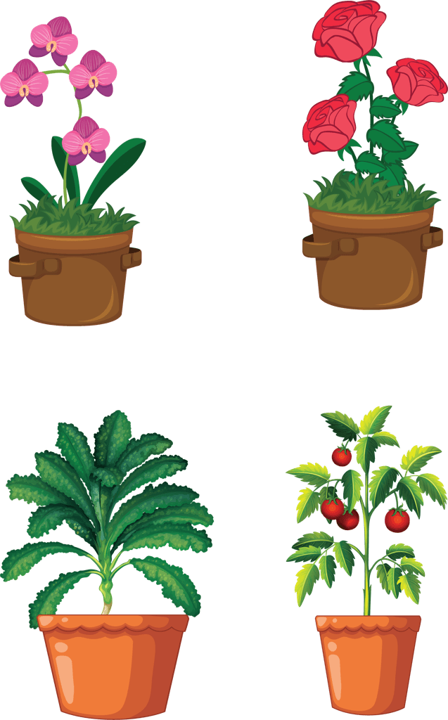different plants pots isolated white