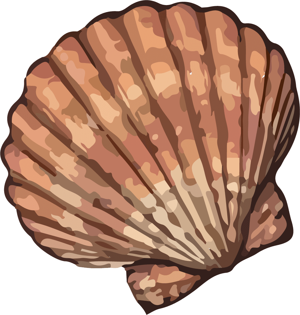 Different sets of sea mollusks sea snail beautiful vector