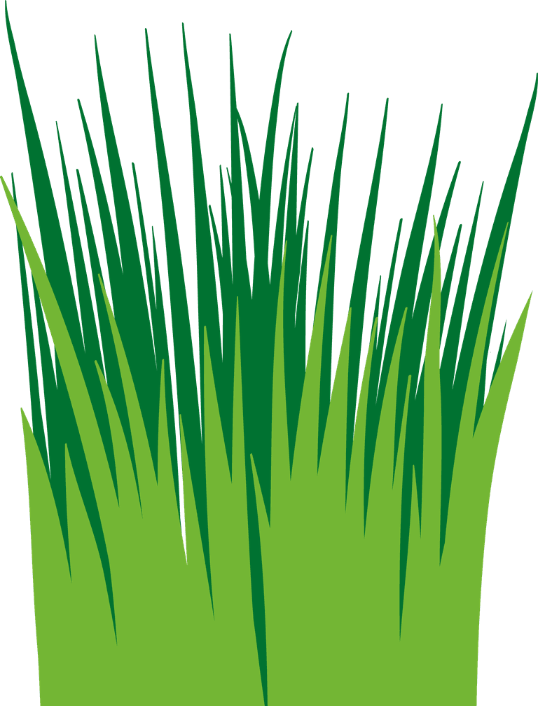 different small grass element for natural landscapes and botanical illustrations