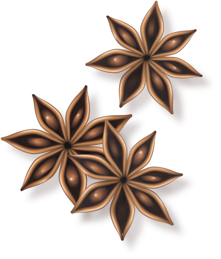 different spice design vector with intricate star shapes for culinary inspiration and decor use