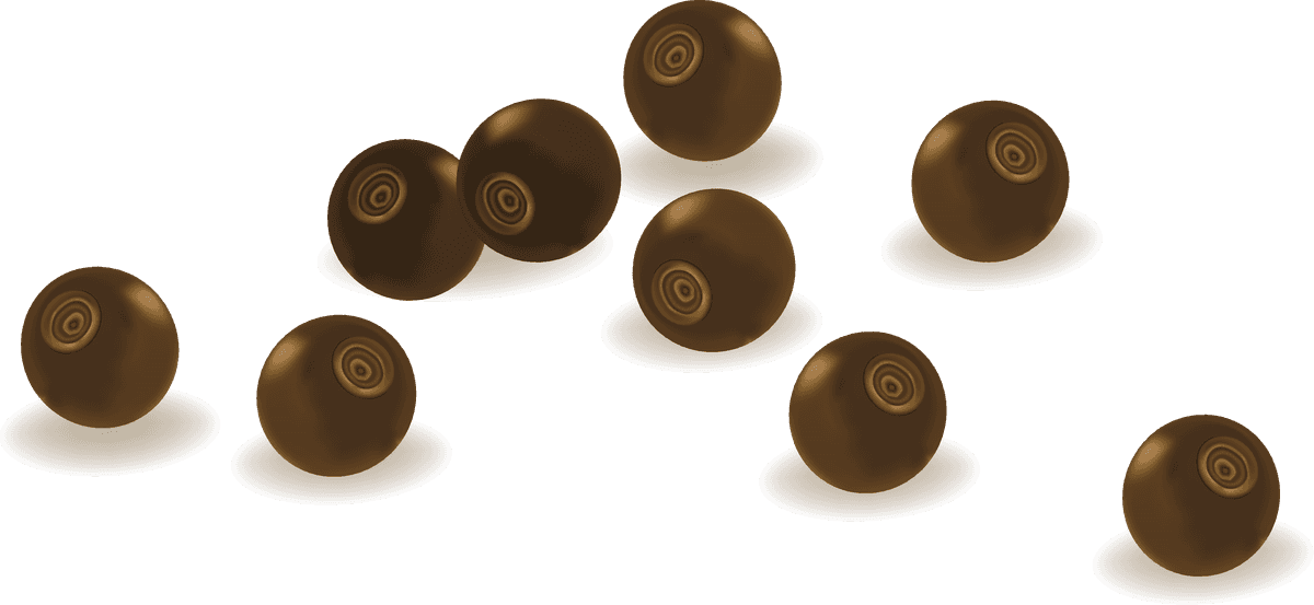 different spice design vector featuring realistic round brown spice balls for culinary use