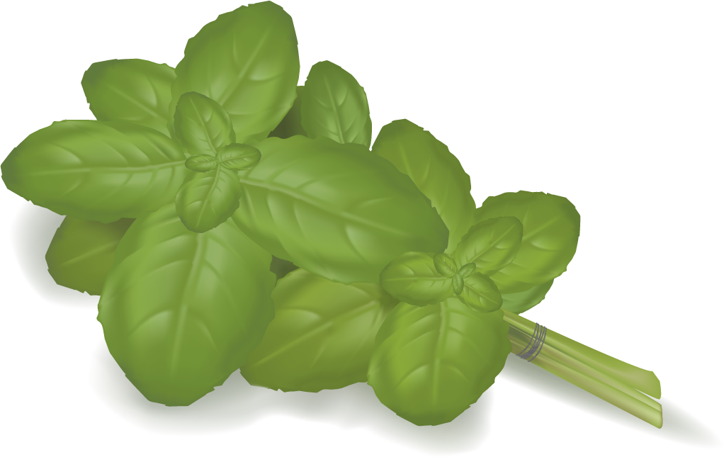 different spice design vector featuring vibrant basil leaves for culinary inspiration