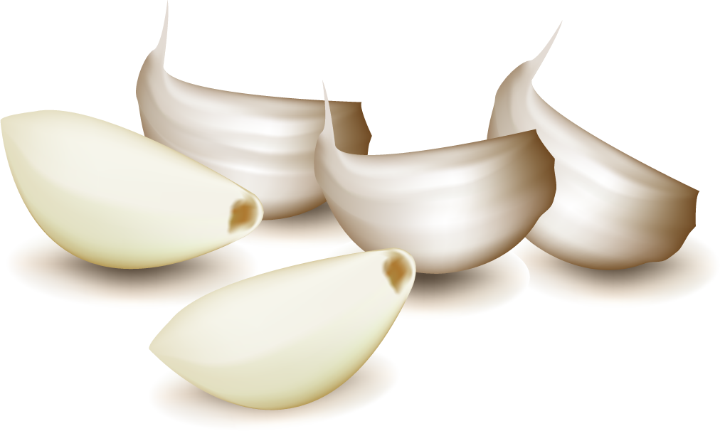 different spice design vector showcasing fresh garlic cloves for culinary enthusiasts and food lovers