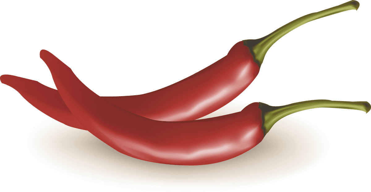 different spice design vector with vibrant red chili peppers for culinary themes