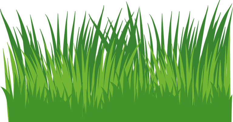 different type of decorative grass element