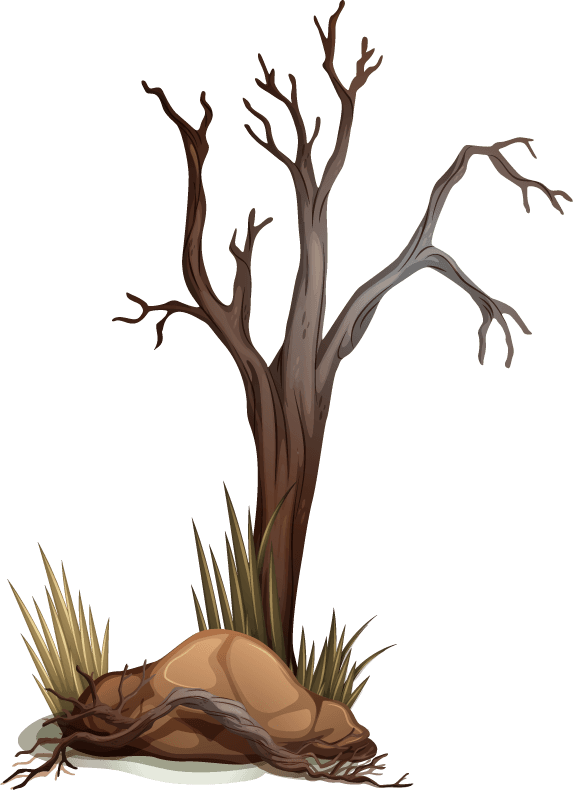 different type of tree stump illustration
