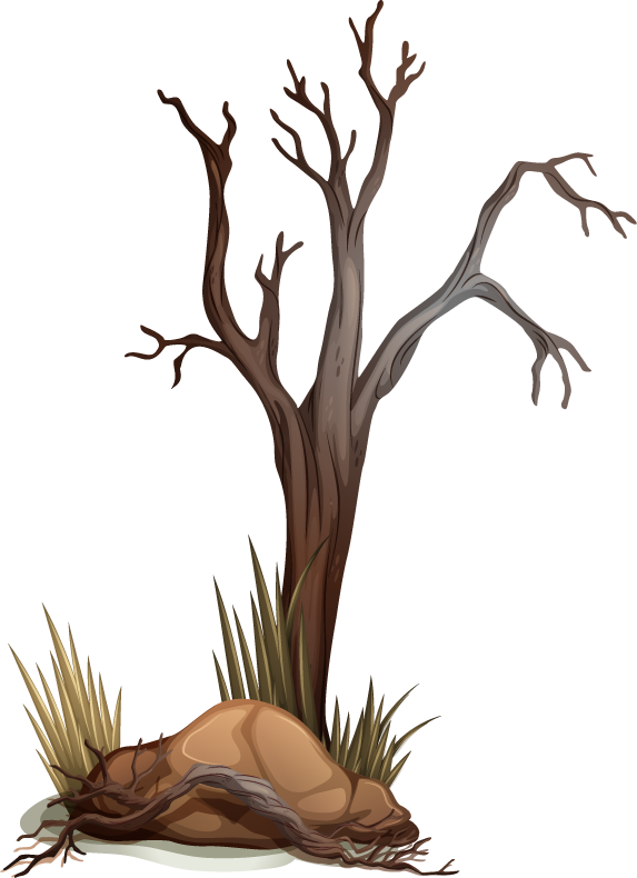 different type of tree stump illustration