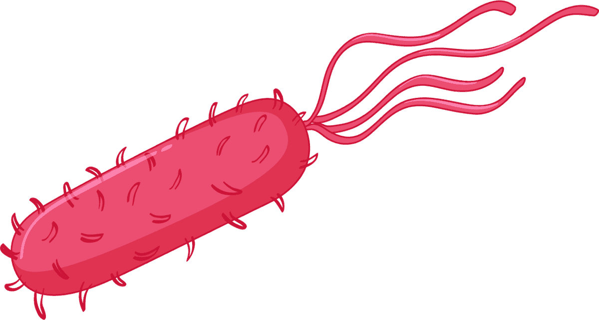 different types bacteria intestines illustrated for educational purposes in vibrant colors