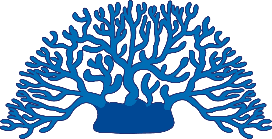 different types of coral reef illustration