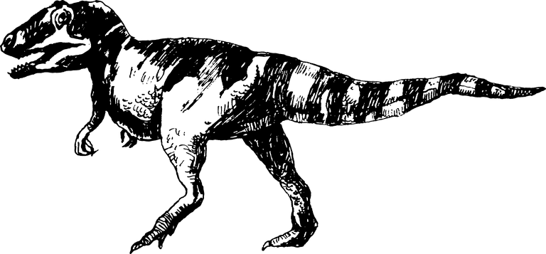dinosaur dinosaurs graphic vector