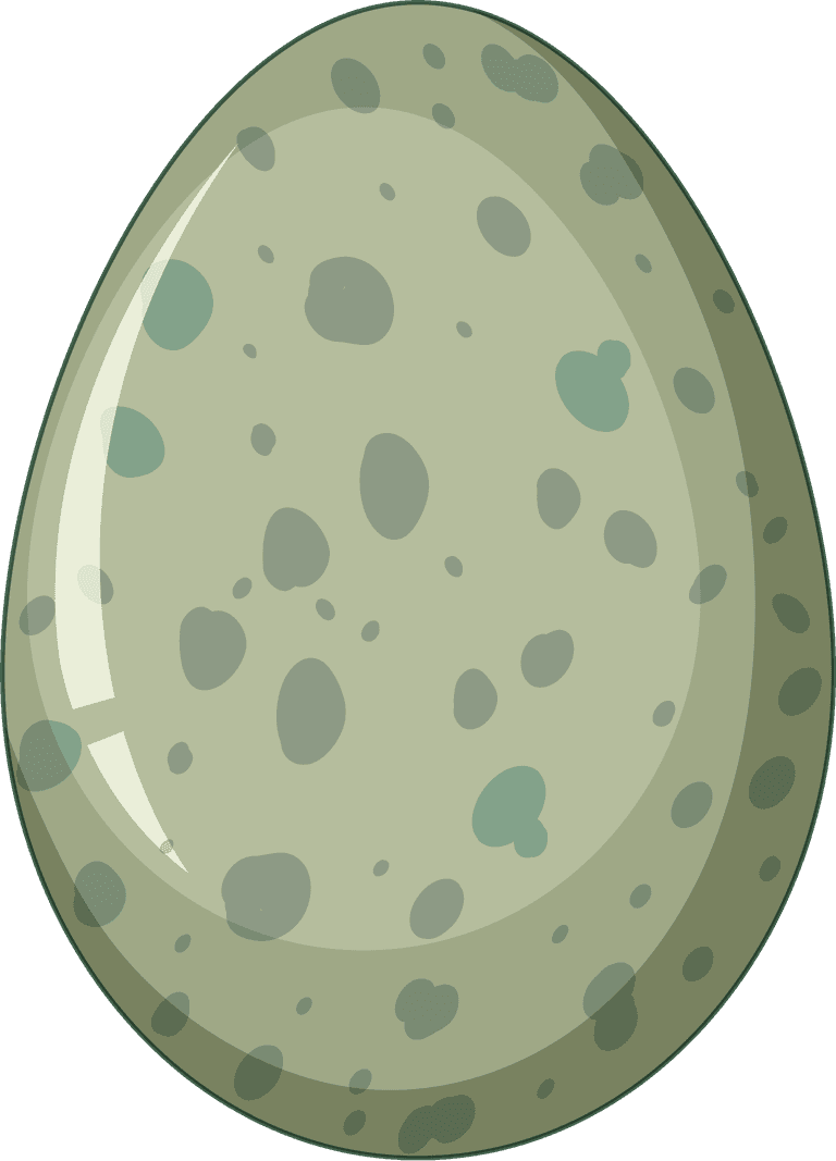 dinosaur egg shell different patterns of dinosaur eggs illustration