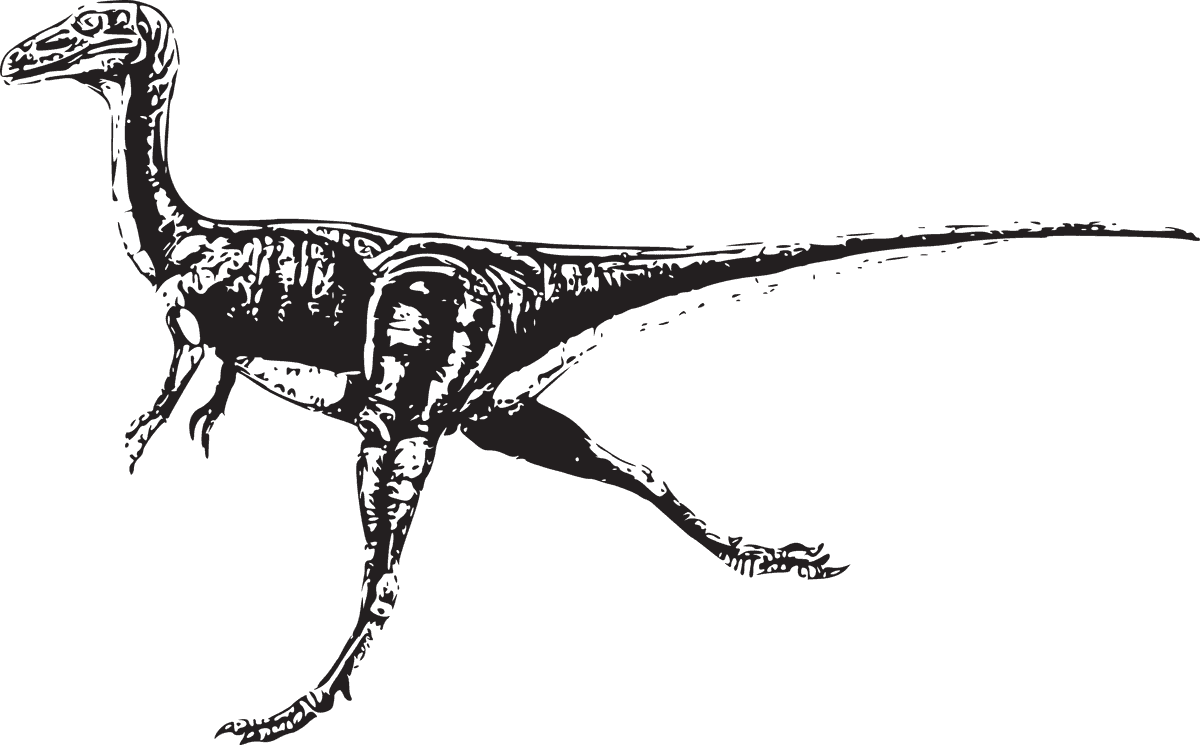 dinosaur dinosaurs vector illustration of a running velociraptor for educational use