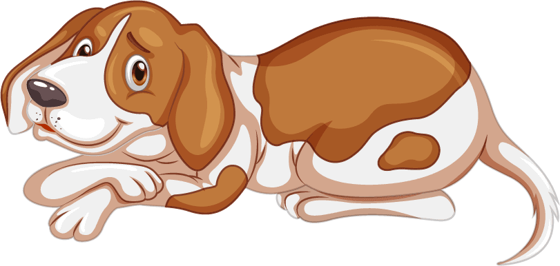 dog a vet doctor team on white background illustration