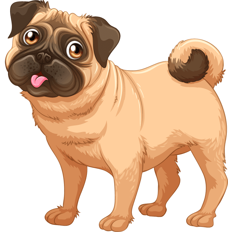 dog different funny dogs cartoon style isolated white background