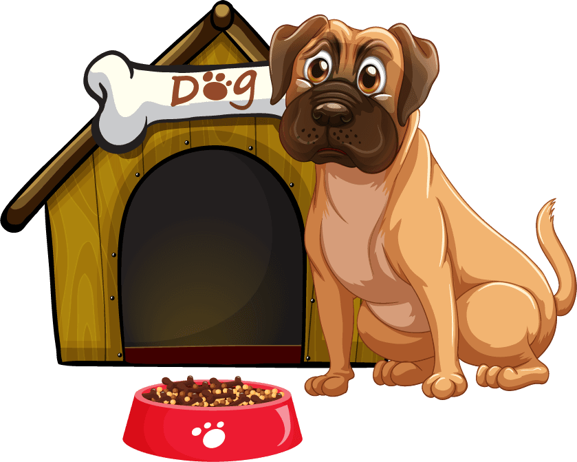 dog different funny dogs cartoon style isolated white background