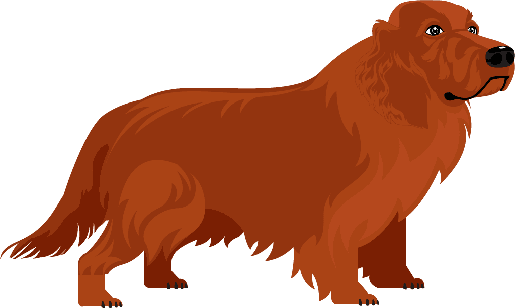 dog dog species icons colored cartoon 