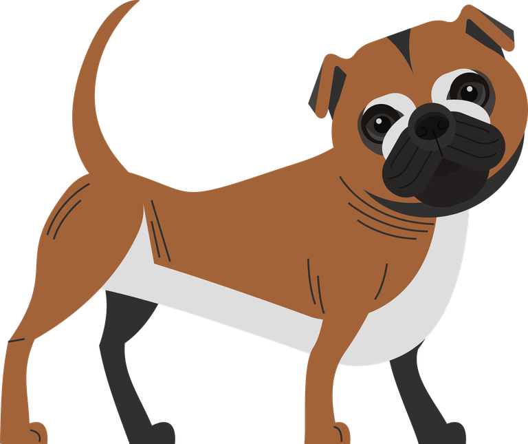 dog dog species icons cute cartoon sketch