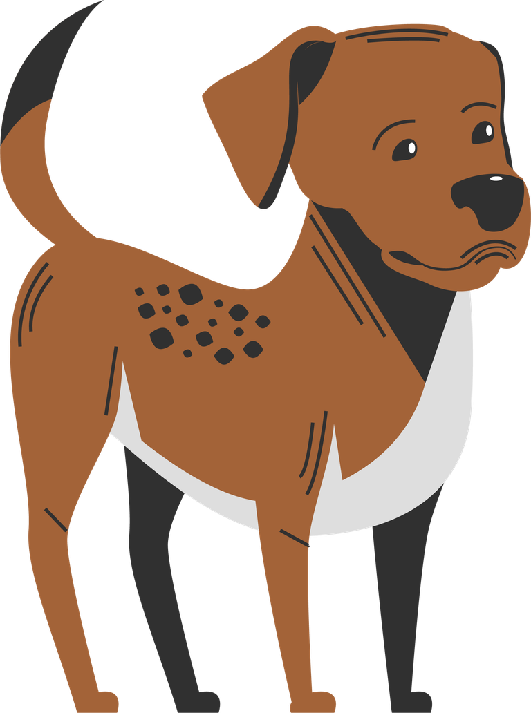 dog dog species icons cute cartoon sketch