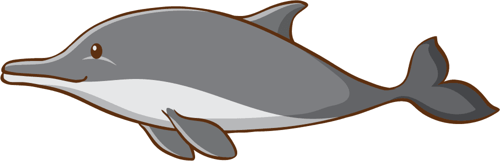 dolphin isolated sea creatures