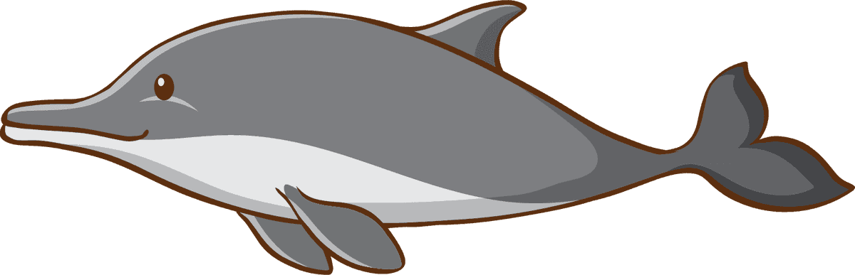 dolphin isolated sea creatures