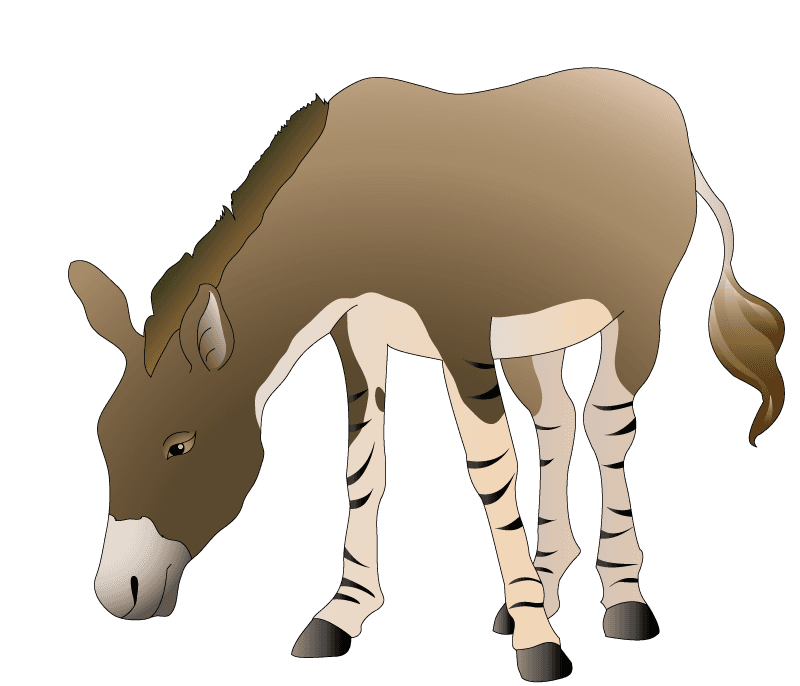 donkey animal models and silhouette vector