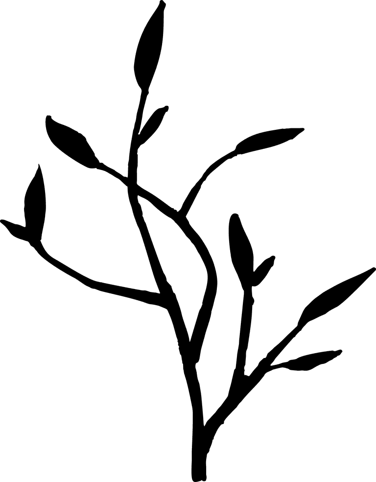 doodle twigs set plants branches in a flat style isolate