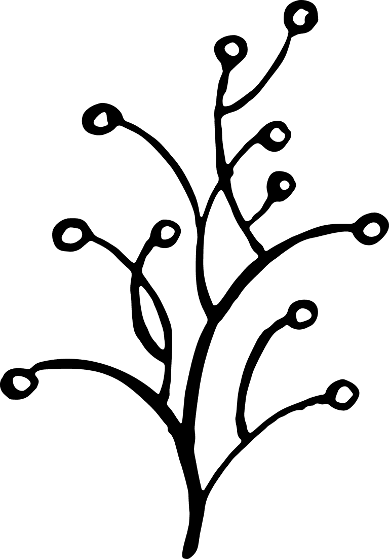 doodle twigs set plants branches in a flat style isolate