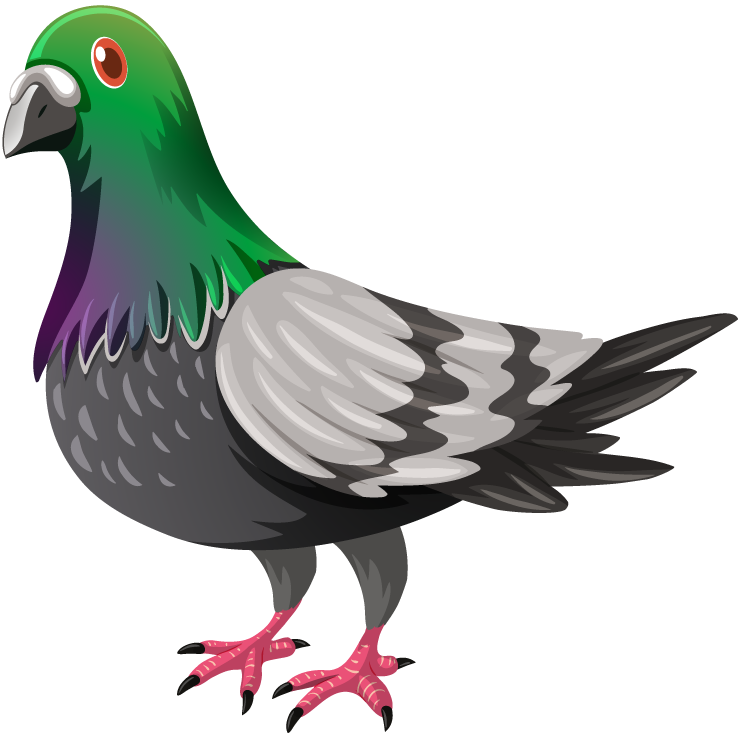 dove set wild animals with vibrant colors for playful educational illustrations
