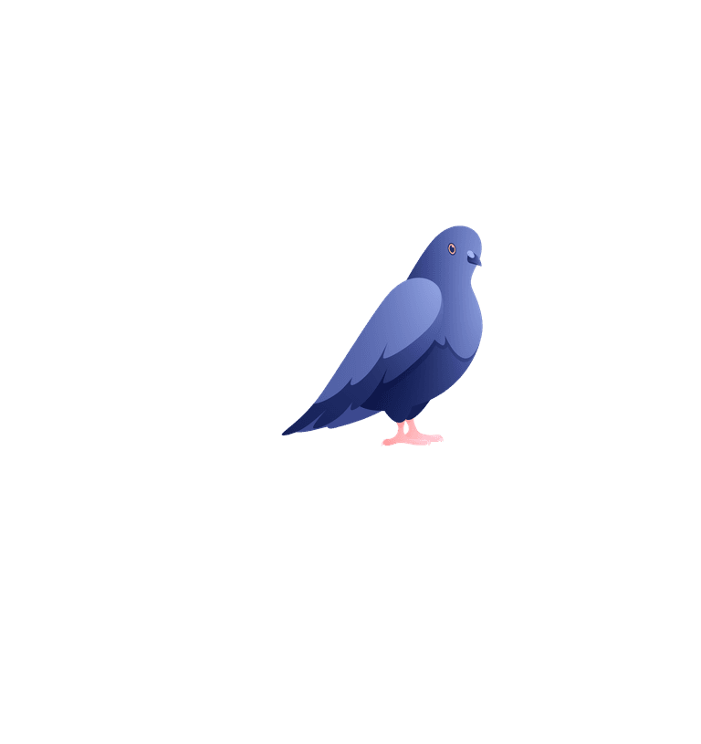 dove urban pigeons set