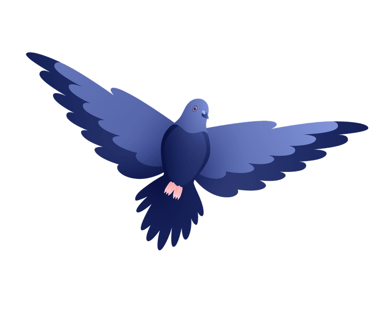 dove urban pigeons set