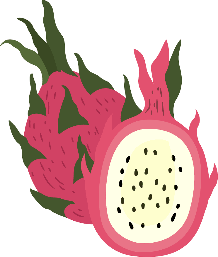 dragon fruit fruits icons colored classic handrrawn sketch