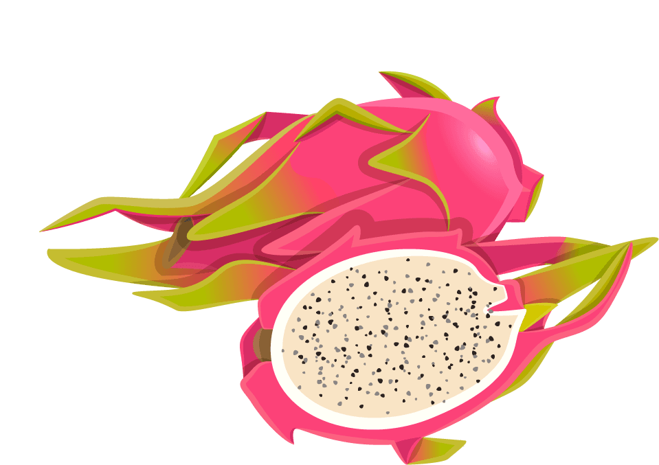 dragon fruit thailand icons set featuring vibrant illustrations and nutritional benefits for healthy eating