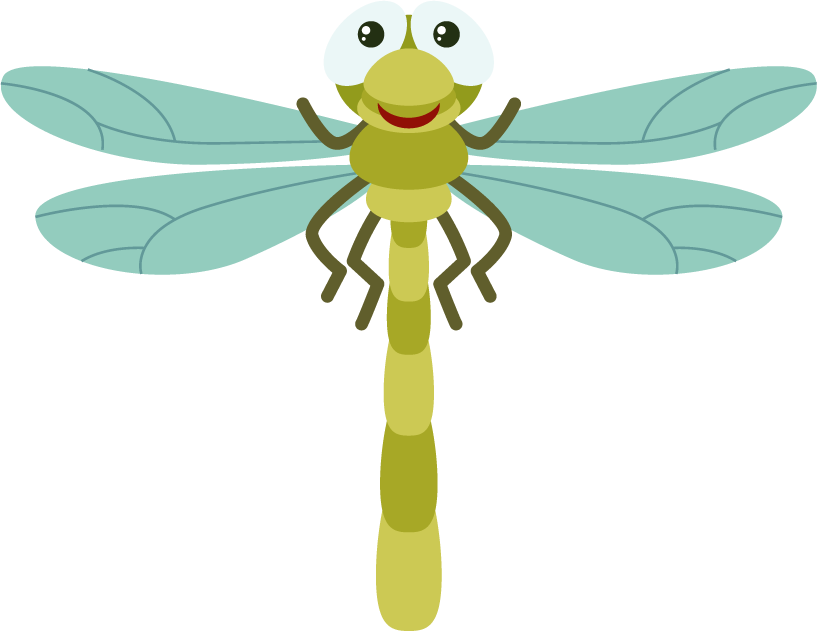 adorable dragonfly set insect character for children's educational materials and fun illustrations