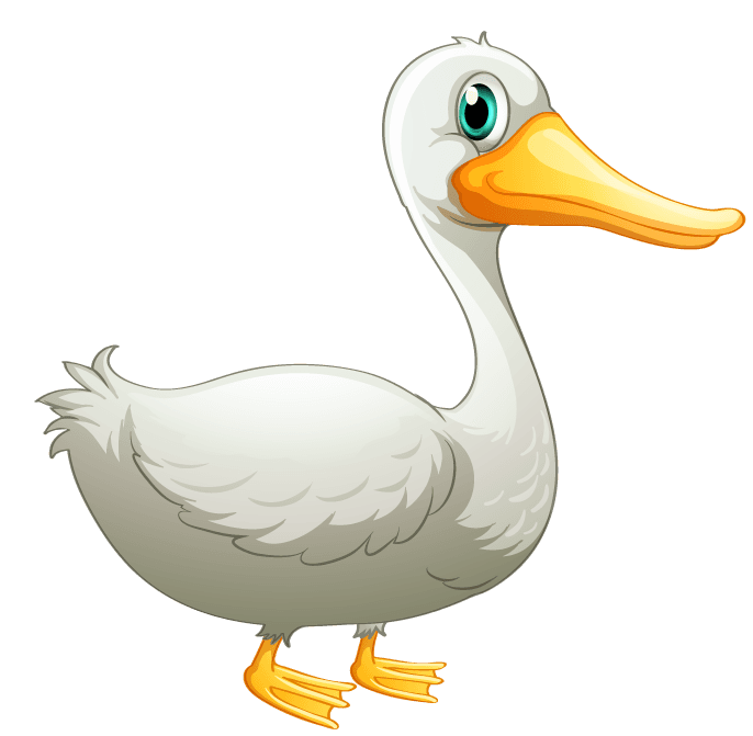 duck a vet doctor team on white background illustration