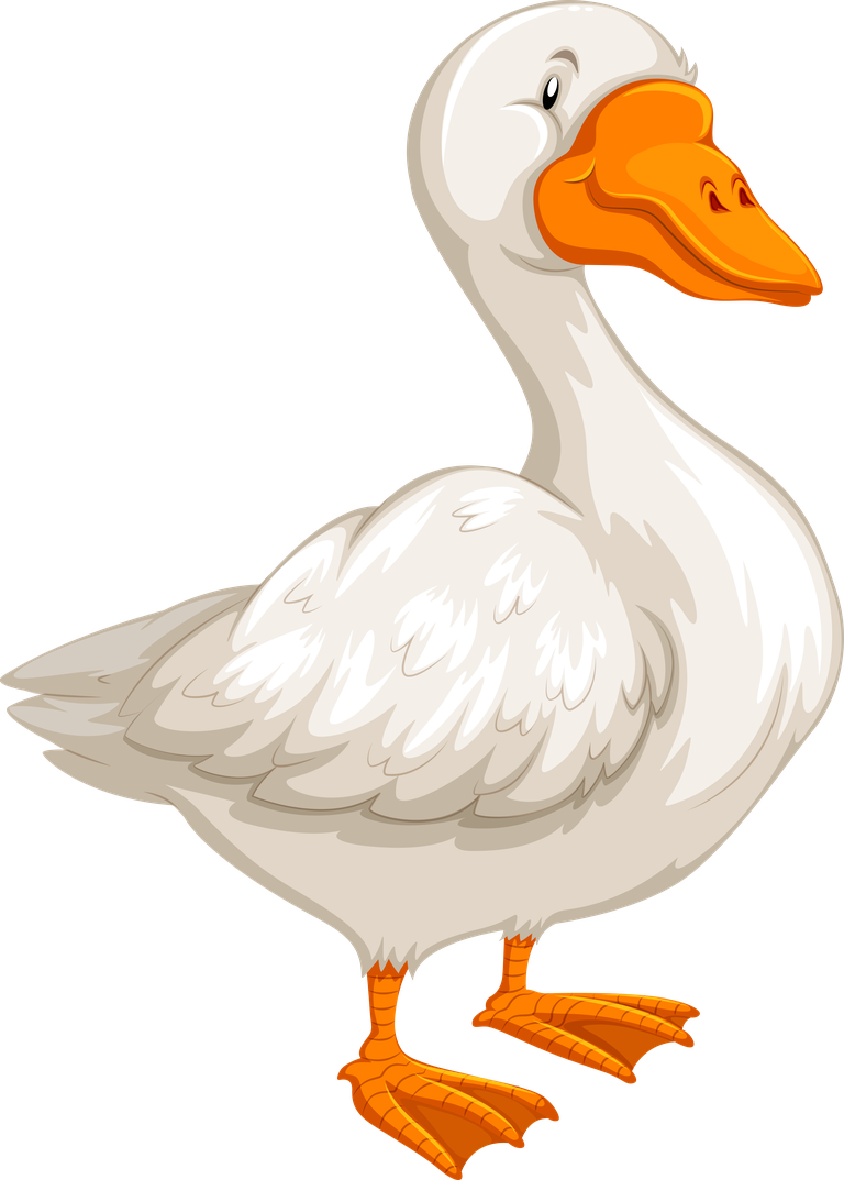 charming duck white geese illustration for playful themes and educational materials