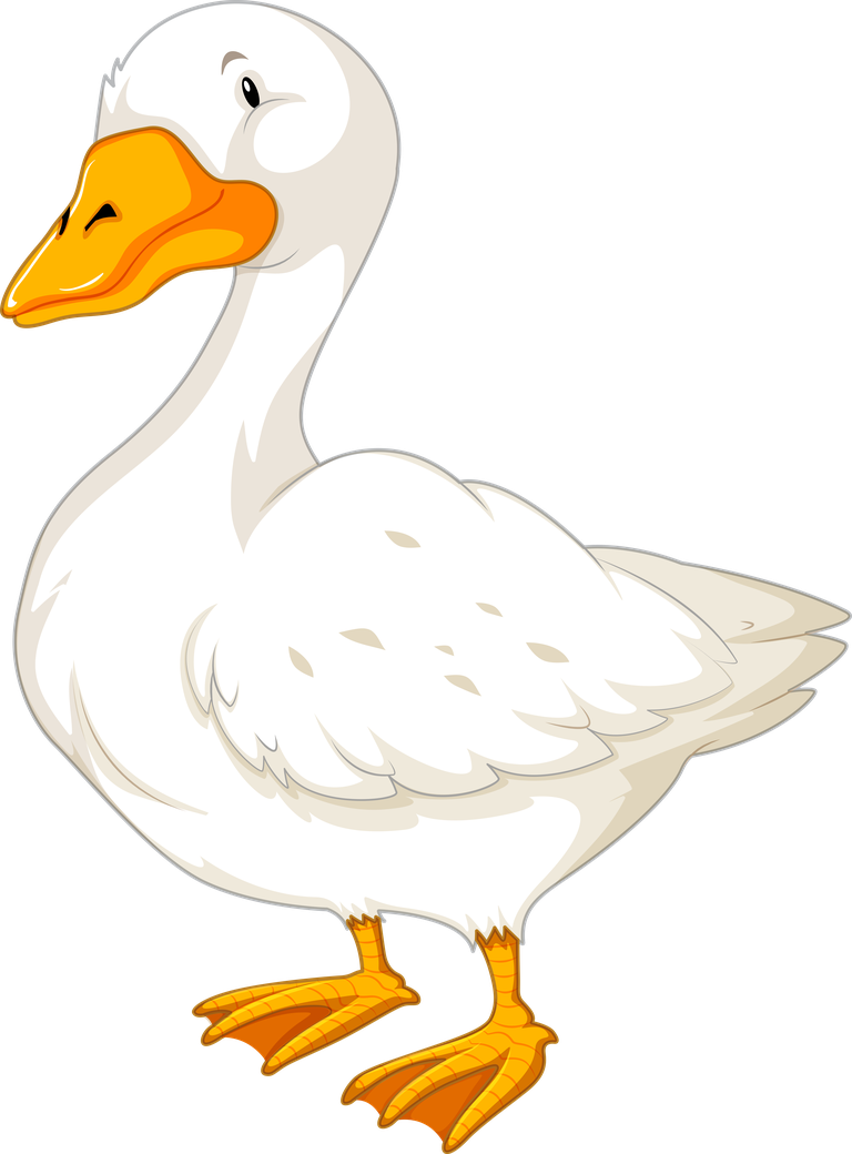 cheerful duck white geese illustration for children’s books and educational materials