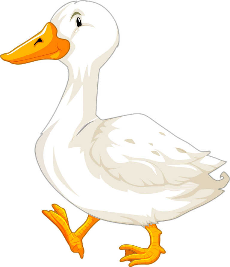 duck white geese illustration for children's educational materials and playful themes