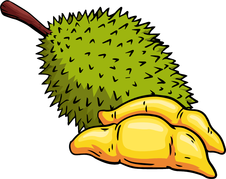 durian durian fruit icons colored classic handdrawn sketch