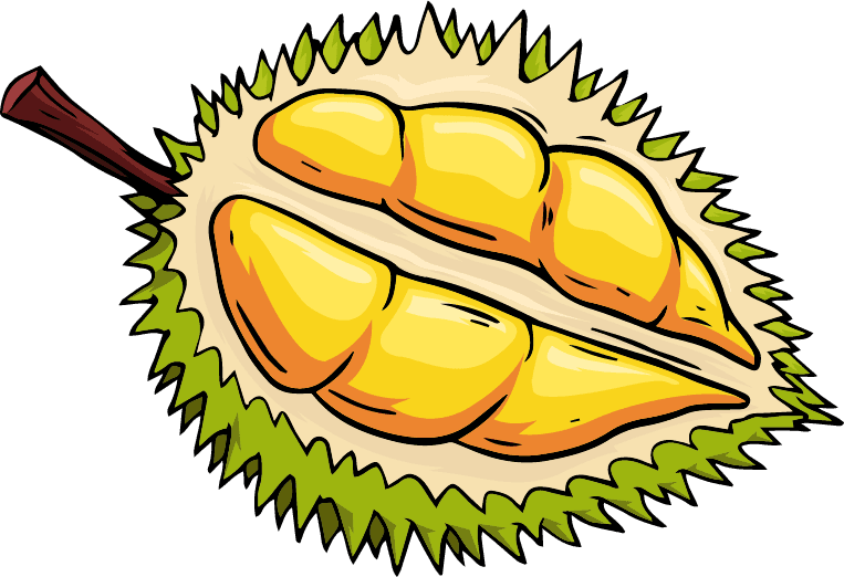 durian durian fruit icons colored classic handdrawn sketch