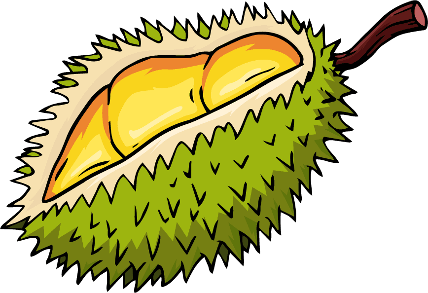 durian durian fruit icons colored classic handdrawn sketch