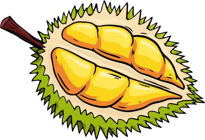 durian fruit icons colored classic handdrawn sketch