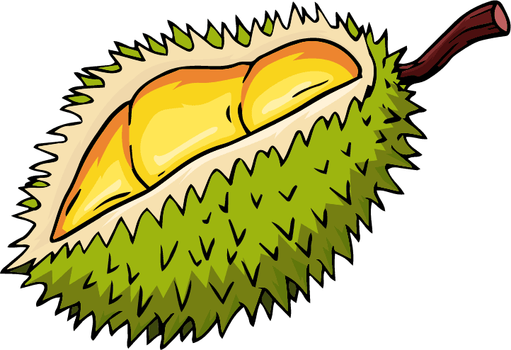 durian fruit icons colored classic handdrawn sketch