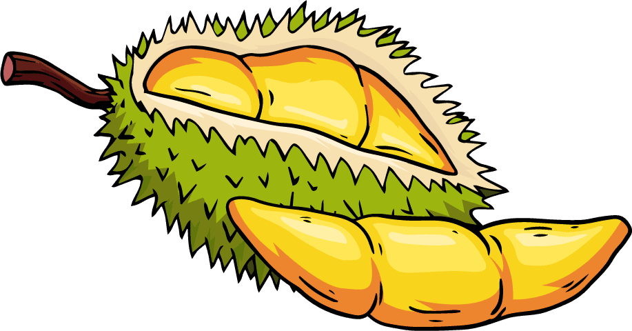 durian fruit icons colored classic handdrawn sketch